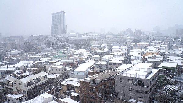 2014-snow-city