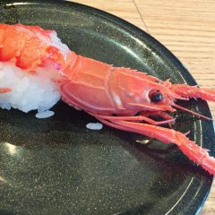 【18切符旅2】沼津水族館隣接の「活けいけ丸」は深海魚が食べられる回転寿司!