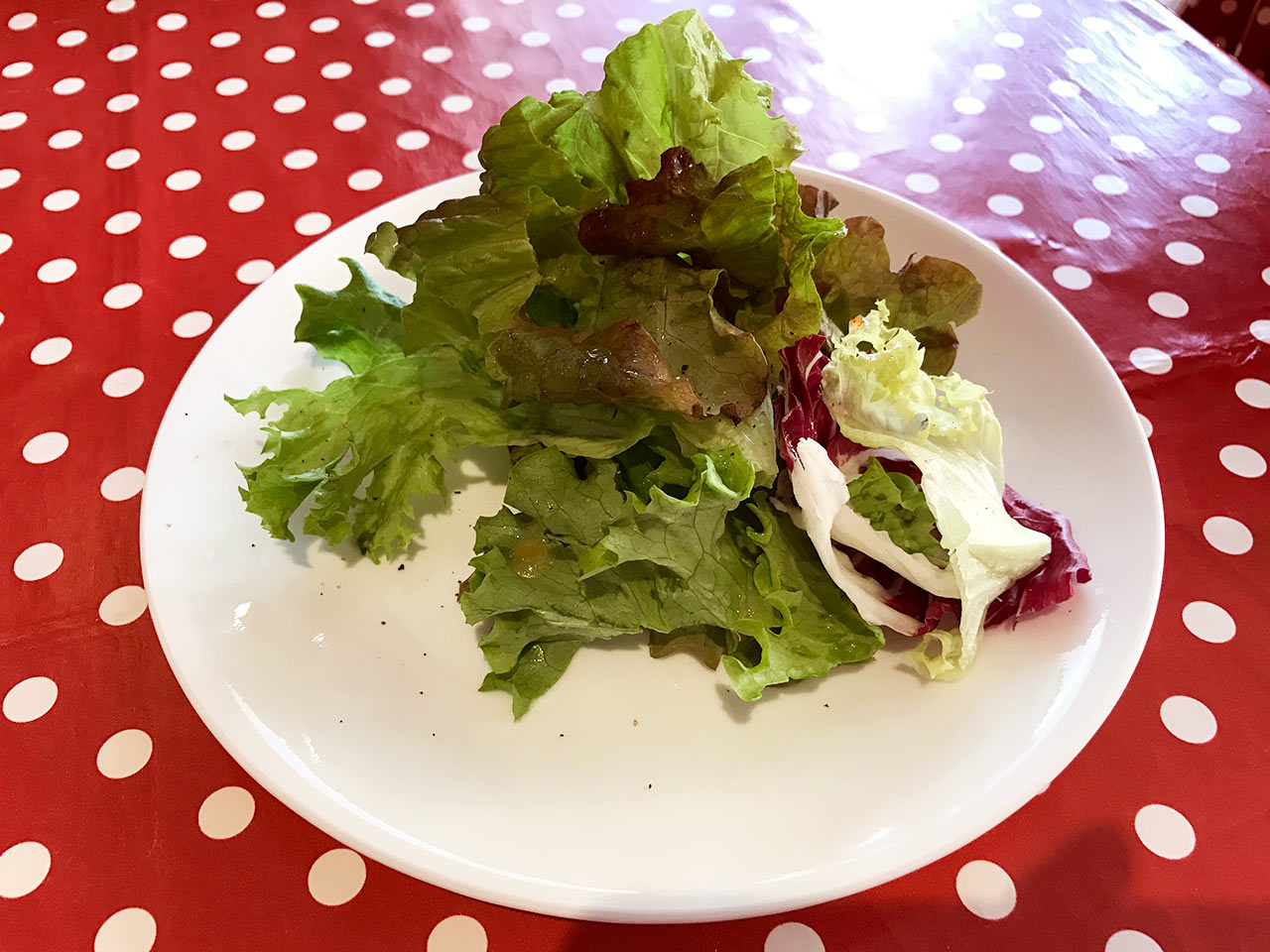 kawasaki-la-colmena-salad