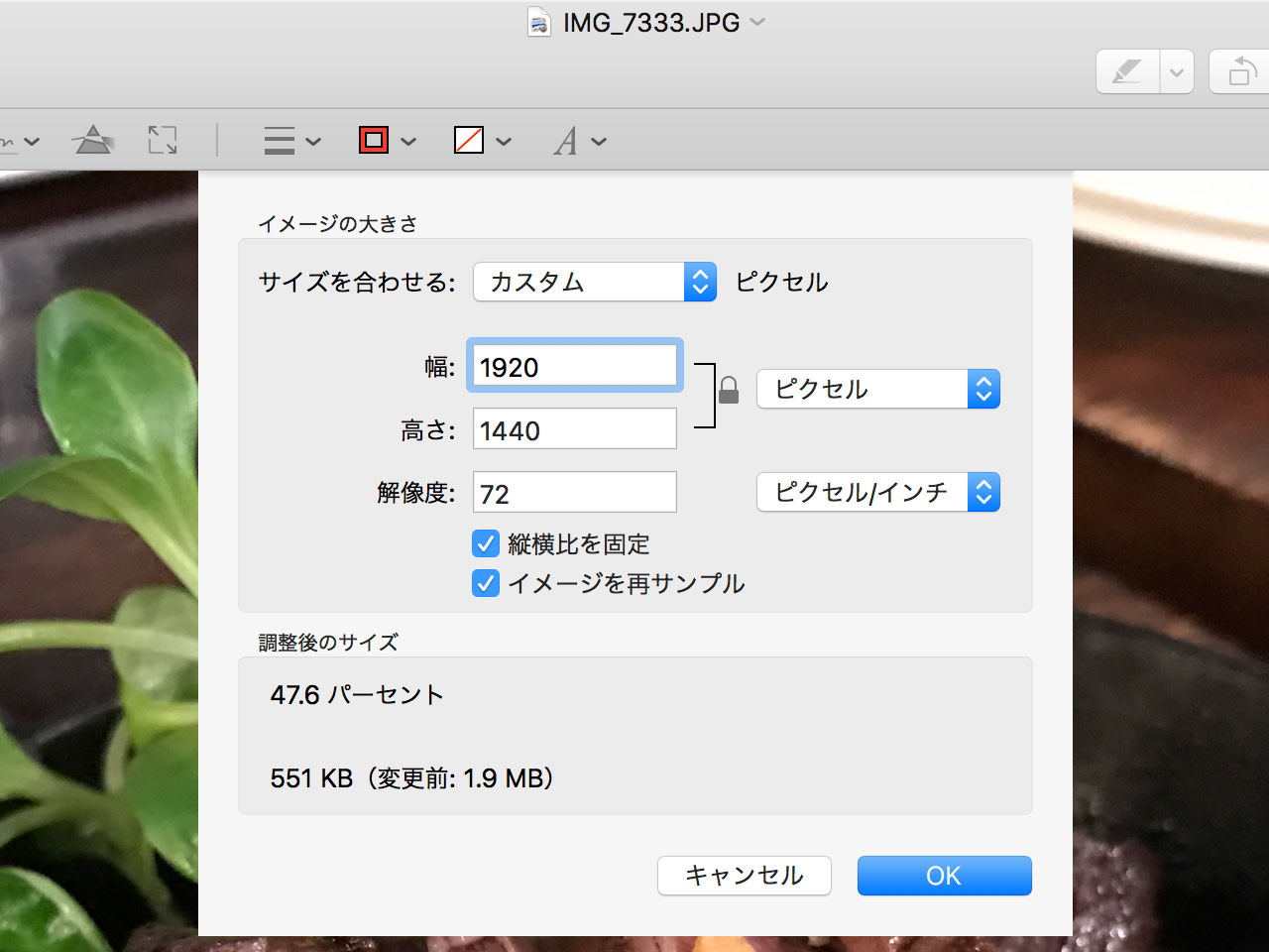 Macのプレビューを使って画像のサイズを変更する方法 ディレイマニア