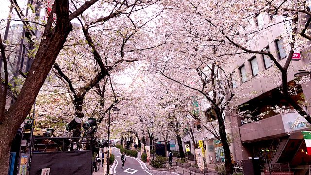 2018年3月29日渋谷ルイードK2にアマオト初出演!桜散る時期に気持ちよくライブしてきました! 2018年3月29日渋谷ルイードK2にアマオト初出演!桜散る時期に気持ちよくライブしてきました!