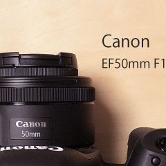 Canonの撒き餌レンズ「EF50mm F1.8 STM」が1万円台と思えないコスパの良いレンズ！初めてのレンズに最適！