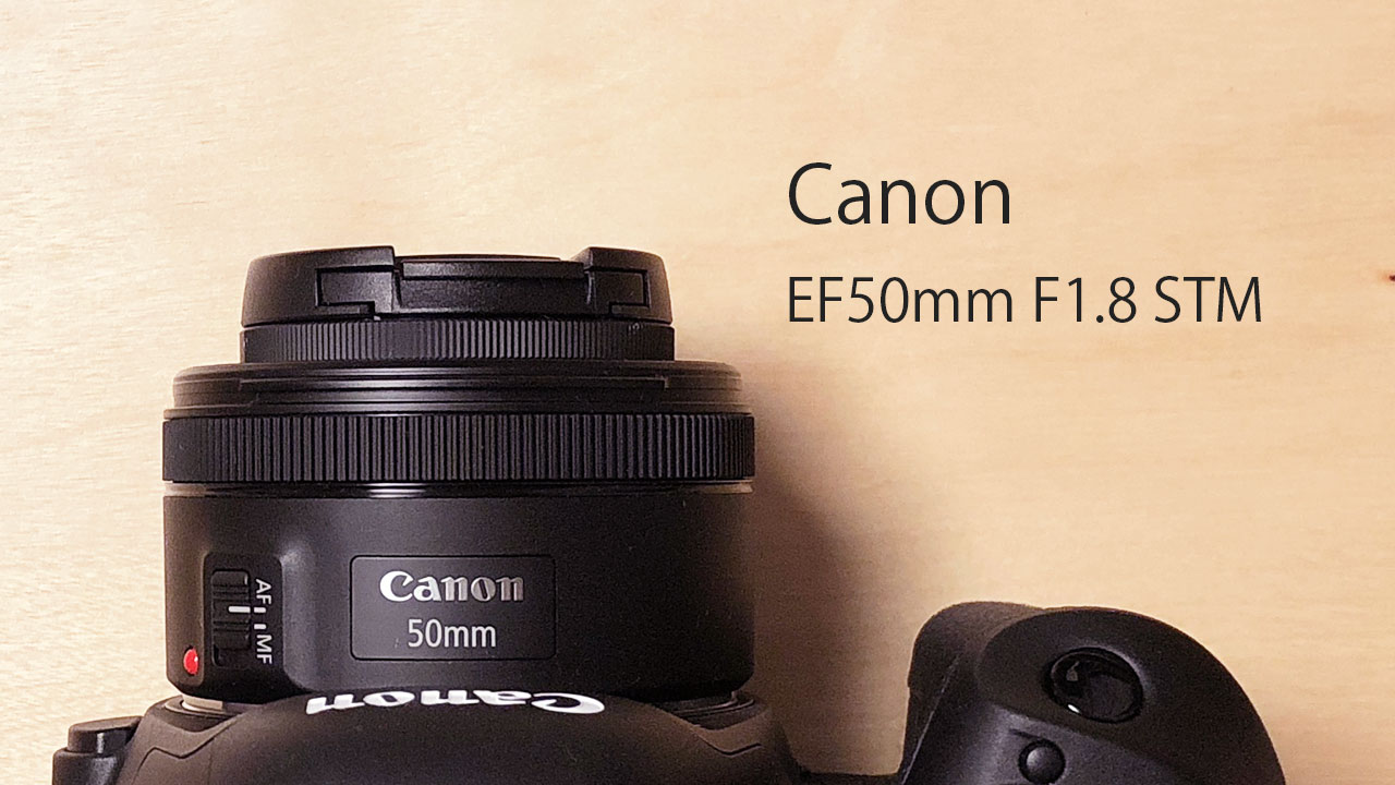 Canonの撒き餌レンズ「EF50mm F1.8 STM」が1万円台と思えないコスパの良いレンズ！初めてのレンズに最適！