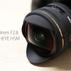 関連記事『APS-C専用魚眼レンズ「SIGMA 10mm F2.8 EX DC FISHEYE HSM」がライブ撮影で大活躍！』のサムネイル画像