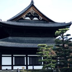 東福寺の本堂がでかくてすごい！景色も絶景なので紅葉の時期にまた来たいお寺！