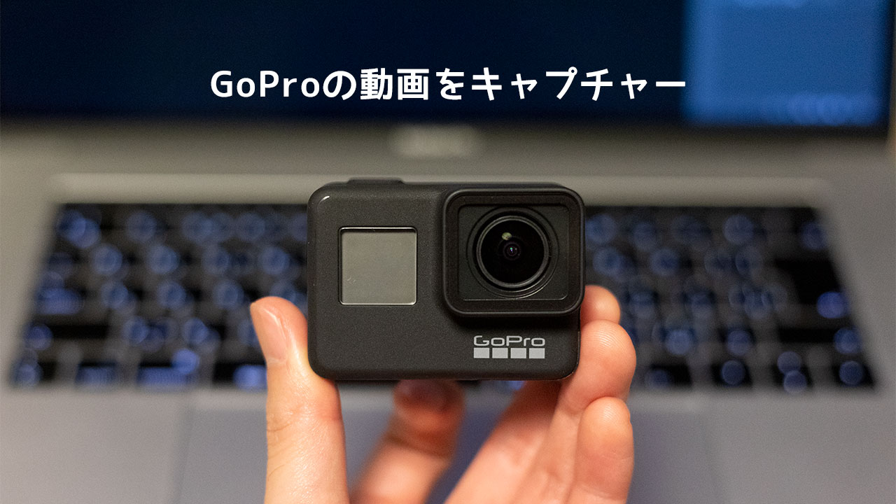 写真として使うことを想定してgoproで撮影 動画からキャプチャーした画像をブログに使おう ディレイマニア