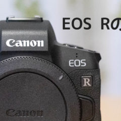 関連記事『EOS R購入直後に設定したこと！マニュアルモードで撮影しやすいように設定しました！』のサムネイル画像