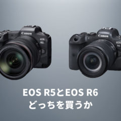 5D Mark ⅣとEOS RのユーザーがEOS R5とEOS R6のどっちを買うのが良いか考えてみた