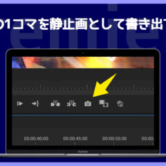 Premiere Proで動画の1コマを静止画で書き出す方法！サムネ作りなどに便利！