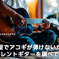 自宅でアコギを録音したくてサイレントギターを調べたらめちゃめちゃ良さそうだったのでポチりました