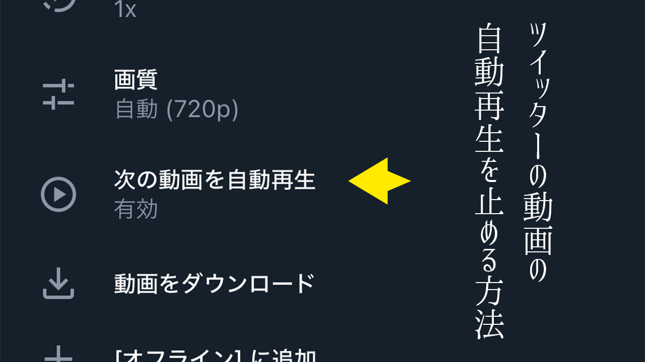 Twitterの動画を観てると次の動画が勝手に再生されるのを止める方法