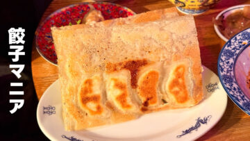 武蔵小杉「餃子マニア」がうますぎ！焼き餃子も水餃子も最高でした！