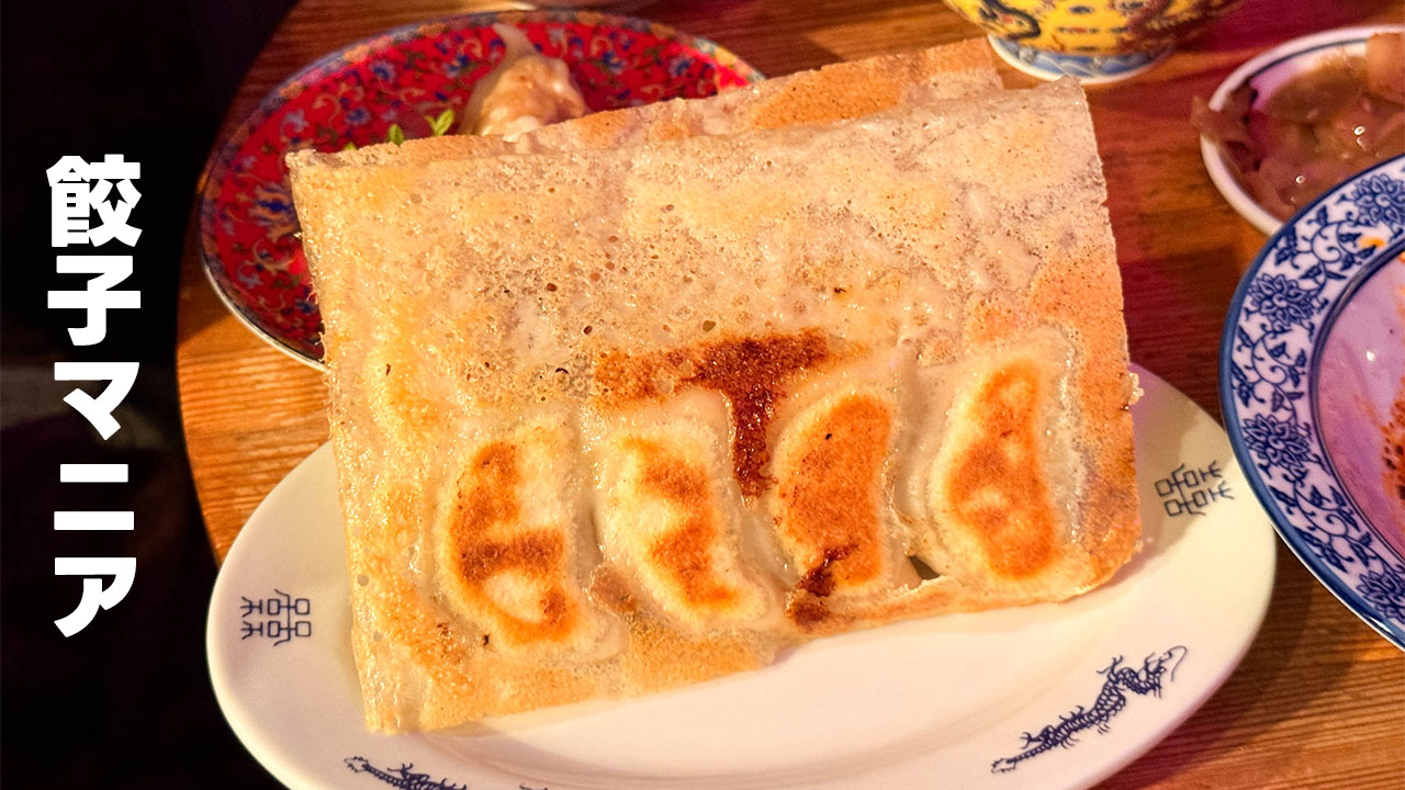 武蔵小杉「餃子マニア」がうますぎ！焼き餃子も水餃子も最高でした！