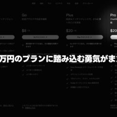 ChatGPTもClaudeも月額3万円のプランに踏み込む勇気がまだない