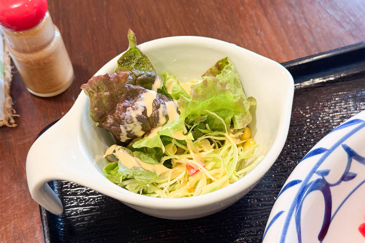 ゴロゴロ野菜カレーに添えられたサラダ