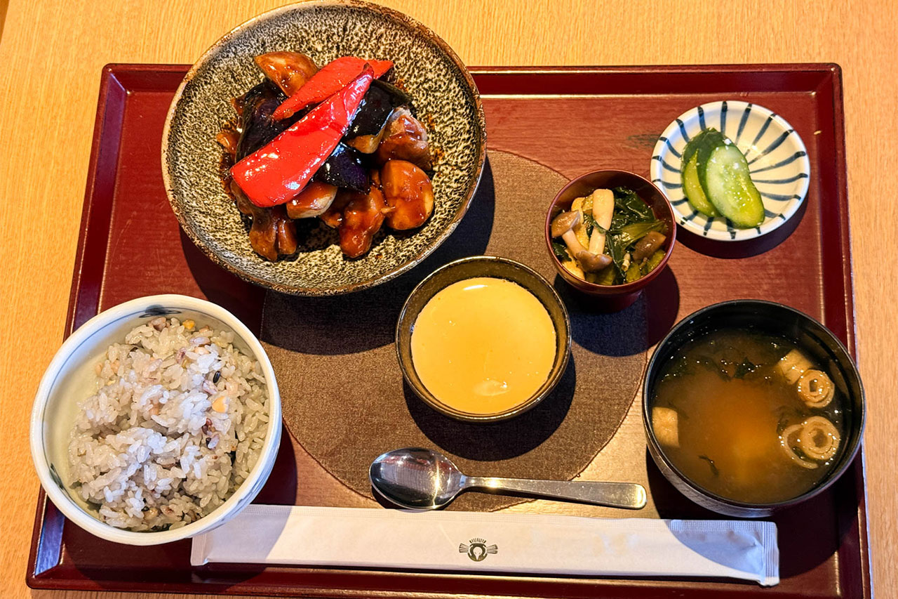 国産鶏と野菜のこだわり黒酢あん御前の全体