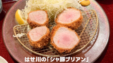 両国のとんかつ屋「はせ川」で食べた「シャ豚ブリアン」がうますぎた