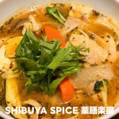 渋谷のスープカレー「SHIBUYA SPICE 薬膳楽園」がうますぎる！