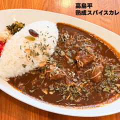 高島平「熟成スパイスカレー エンドルフィン」のポークカレーがうますぎる