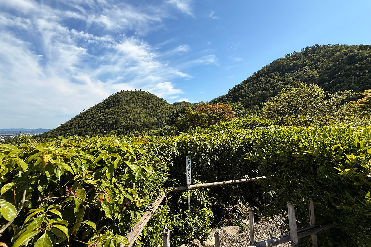 光悦寺から見えた京都の山の景色