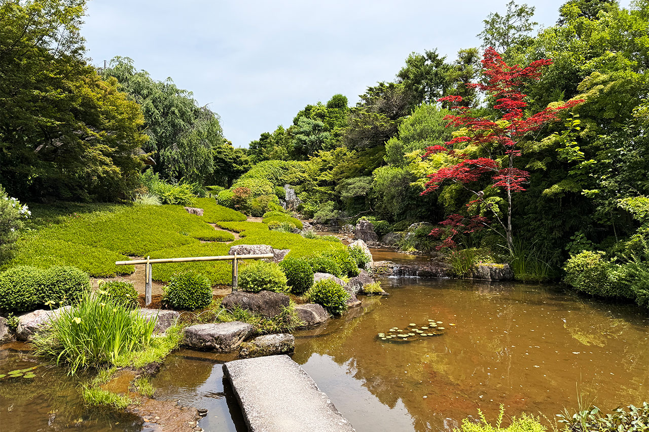 妙心寺退蔵院の水琴窟周辺から見た庭園