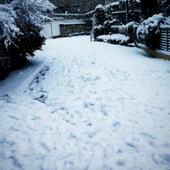 2013年成人の日に初雪！神奈川県でこんなに降ったらパニックになるっていうレベルの大雪